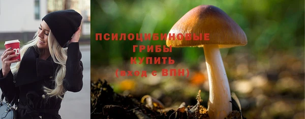 бутират Алзамай