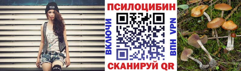 Псилоцибиновые грибы MAGIC MUSHROOMS  где купить   Завитинск 